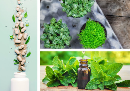 Exploring the Safety and Effectiveness of Herbal Medicine for Holistic Health and Anti-Aging