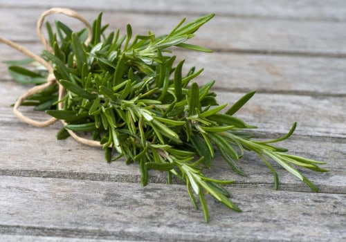 Benefits and Uses of Common Herbs for Holistic Health and Anti-Aging